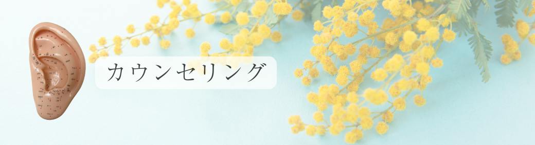 耳つぼダイエットカウンセリング
