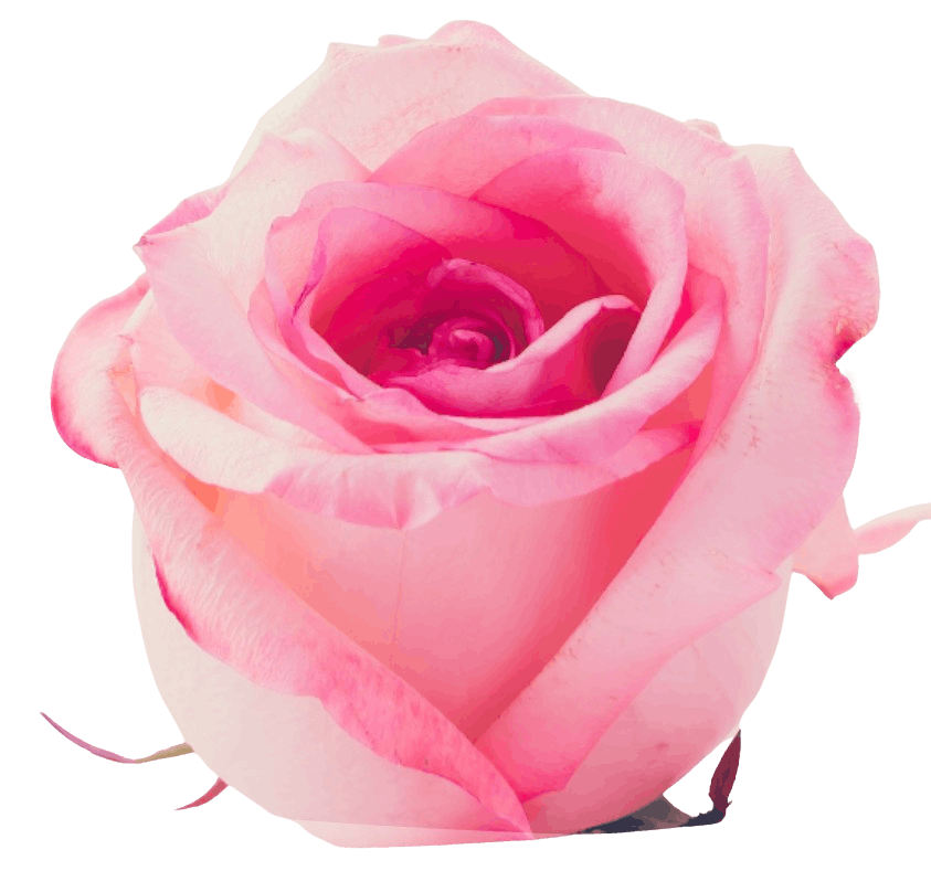 個人セッション