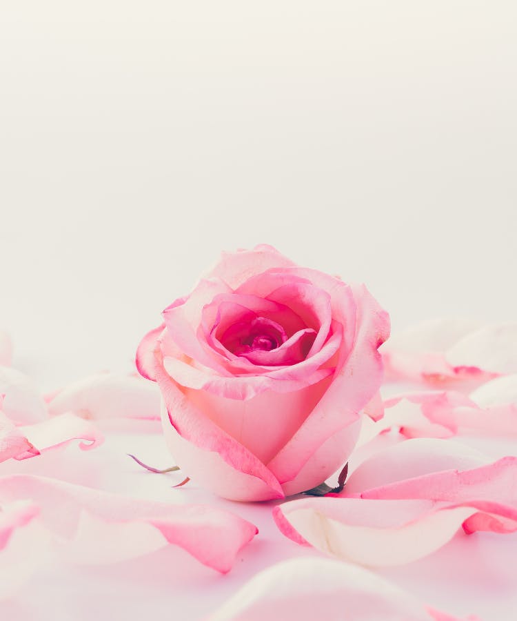 個人セッション